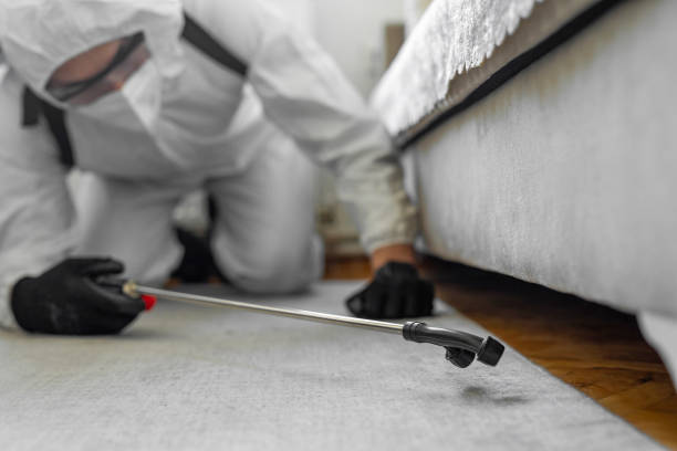 Professional Pest Control technician working in Riverton, NJ