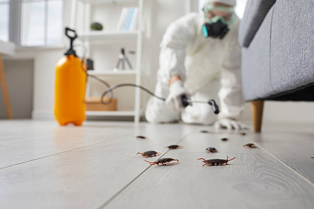 Trusted Termite Control service in Riverton, NJ - Nex Pest Control