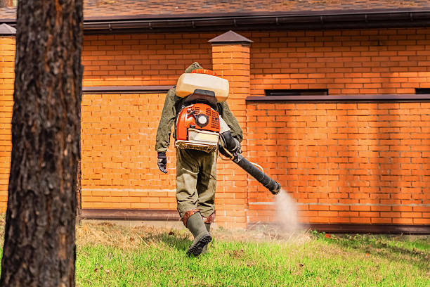 Trusted Bed Bug Control service in Riverton, NJ - Nex Pest Control